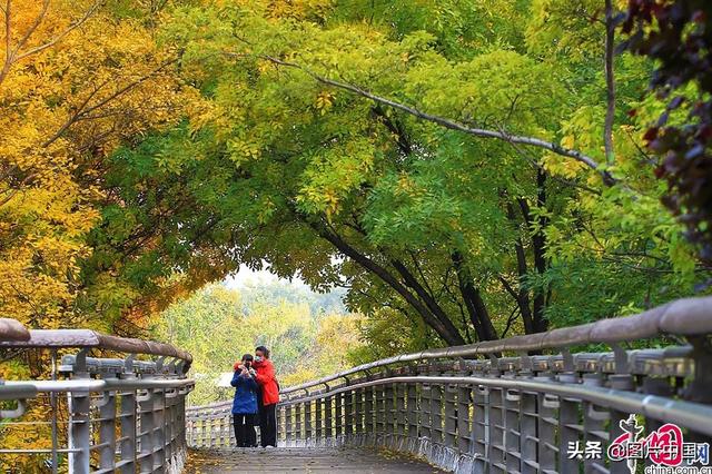 美丽的秋天图片，简单的秋天图片（来看全国各地五彩斑斓的迷人秋色）