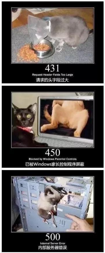 404，404、405这些错误指令你知道是什么意思吗