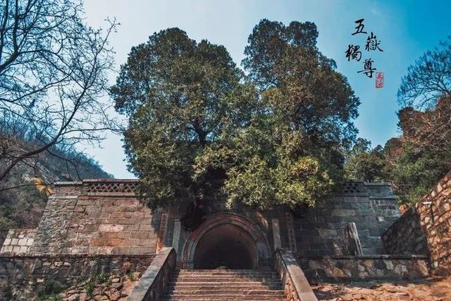 夜爬泰山旅游攻略，以及注意事项（中天独立——夜爬泰山两日行程）
