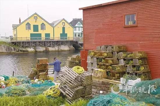 秘鲁渔场位置，秘鲁渔场形成原因是寒暖流交汇吗（是什么让世界超级大渔场变得死寂）