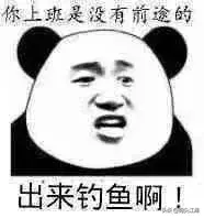 钓鱼表情包(禁止钓鱼emoji表情)