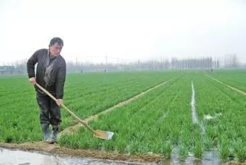 土壤改良剂有哪些，土壤改良剂主要成分（快用土壤改良剂---松土精）