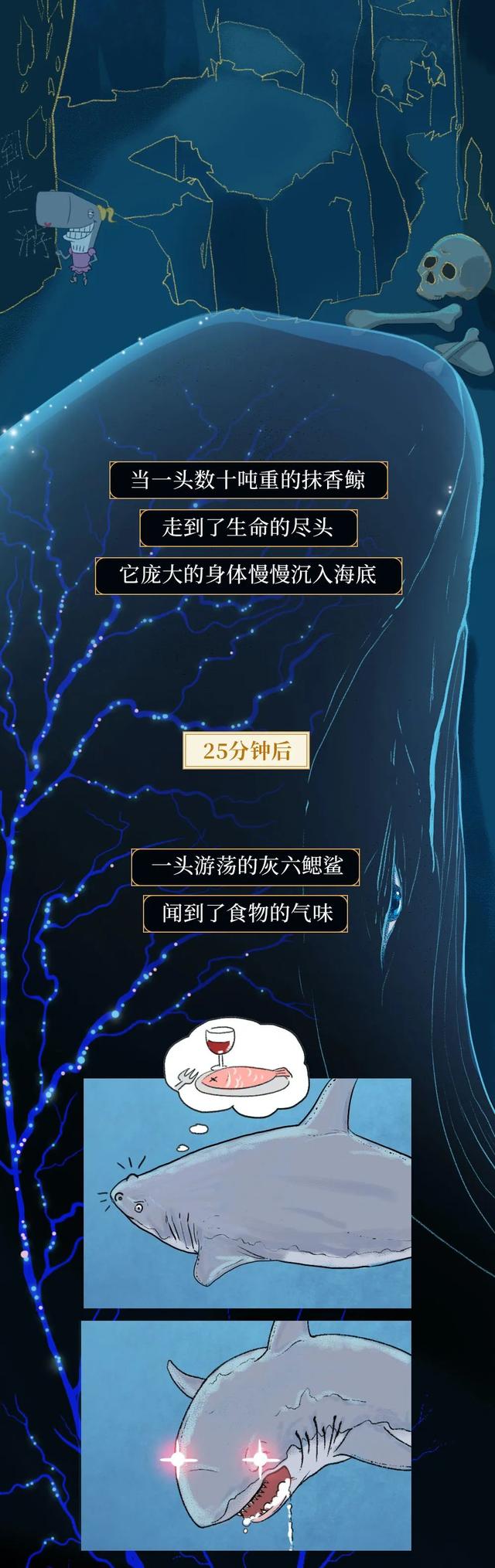 一鲸落万物生什么意思，万物生是什么意思（深入解析什么是“一鲸落）