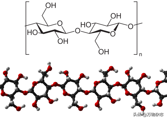桑蚕丝衣服容易皱怎么办，桑蚕丝衣服真的不要买（衣服为什么动不动就皱巴巴）