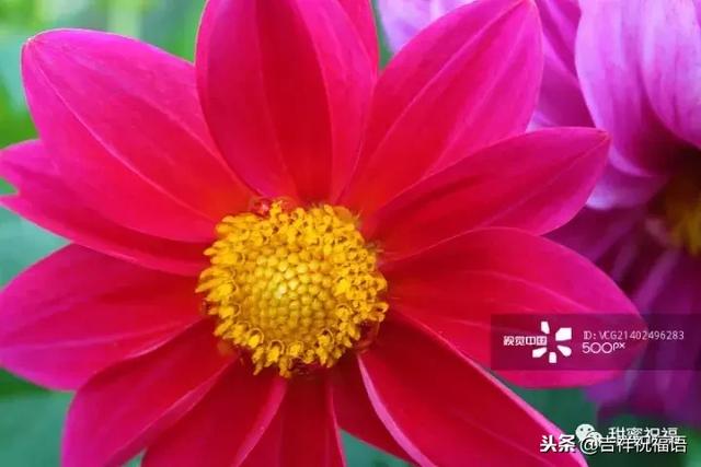 同事退休祝福语，给退休同事的祝福语2022（退休三气、三有、三乐……句句入骨）