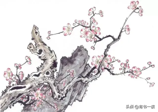 精选的老子名句大全，老子经典语录老子名言100句（流传了2500多年的生命之书）