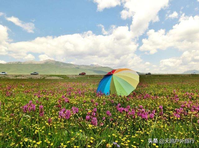 若尔盖大草原几月份去好，若尔盖草原几月去最好（若尔盖大草原，8月正适合）