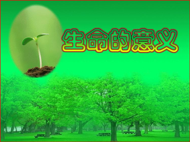 混沌无极，混沌无极柳雪柔txt网盘（如何“在宇宙之上”看生命的起源和意义）