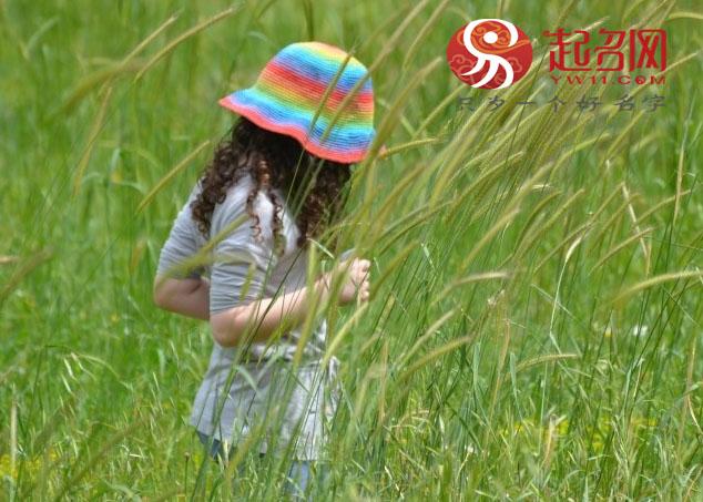 取名子衿的寓意，子衿有什么寓意（一种古朴纯粹到极致的美）