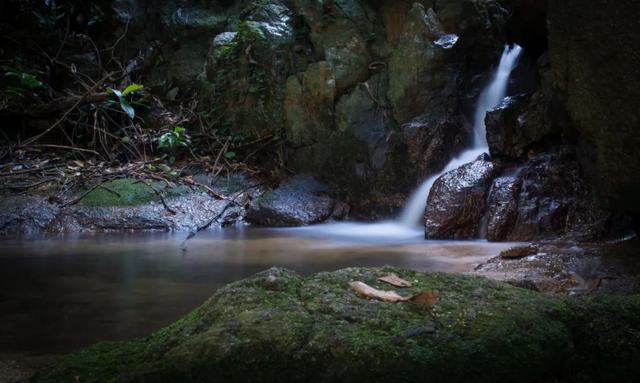 深圳坪山有什么寺庙，深圳坪山哪里有寺庙（我找了深圳10座山和你爬）
