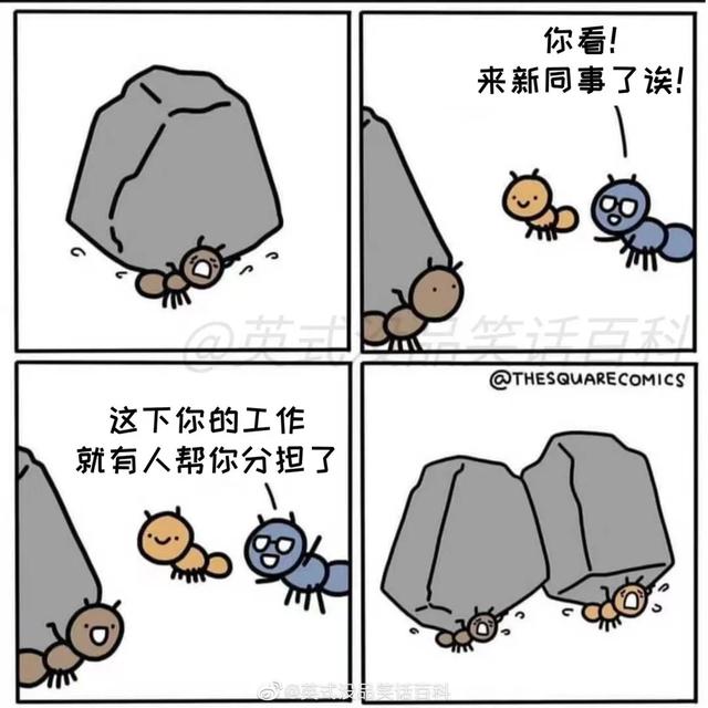 timi是什么意思，“卷