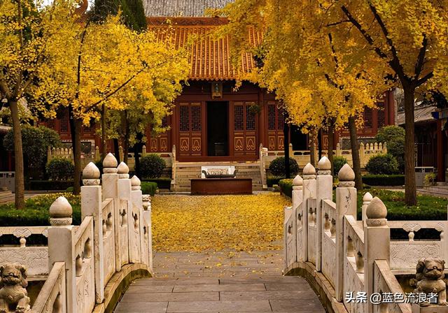 长江三角洲地区的核心城市是什么，哪个城市是长江三角洲的核心城市（为何安徽这个城市）