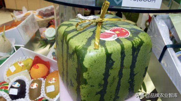 独果是什么，独果是真的吗（吃水果吃掉一套房、几辆车）