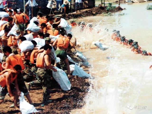 hereby，hereby中文是什么意思（重温一下入美誓词）