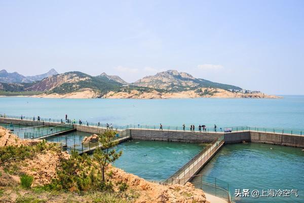 神雕山野生动物园，神雕山野生动物园攻略（竟然是一个动物比游客还多的景点）