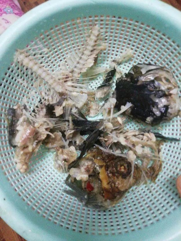 用醋兑水杀蚜虫有用吗，白醋杀蚜虫（浇花的水里加点这种料）