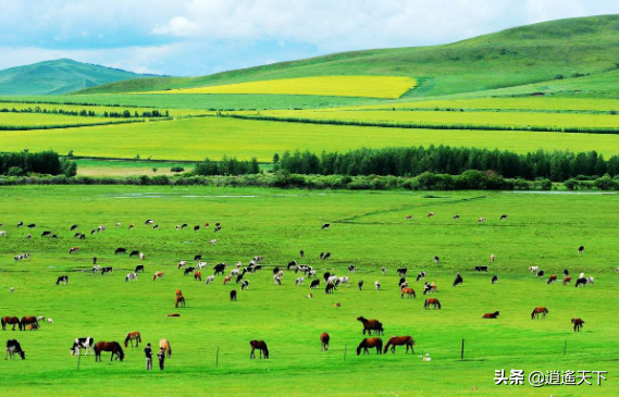 草原都有哪些类型，内蒙古的草原类型有几种（全中国最美丽的八大草原）