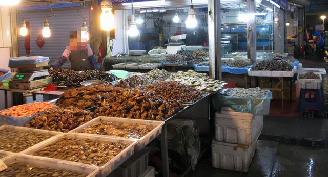 蛏子怎么读，蛏子怎么吃法家庭吃法（蛤、蚌、蚶、蚬……菜市场里的贝壳你都认识吗）