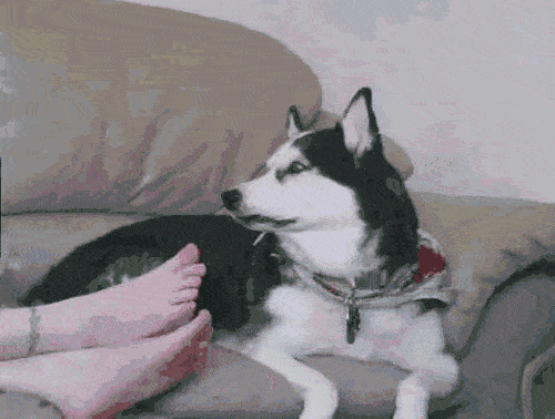 十滴水洗脸的用法，十滴水洗脸的用法与用量（还是十滴水比较方便）