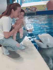 海豚和白鲸的区别，白鲸为什么是海豚（妹子的iPhone掉进大海后）