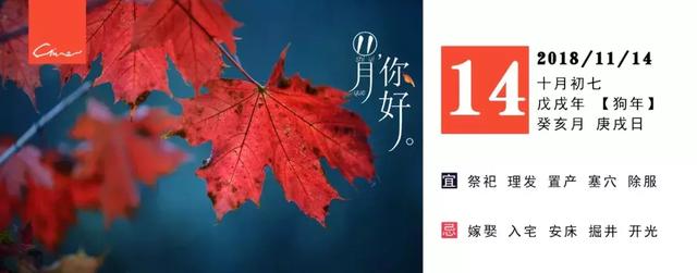 男主有恐女症的玄幻小说，男主怕女主的玄幻小说（90后青春系神探小分组正式上线）