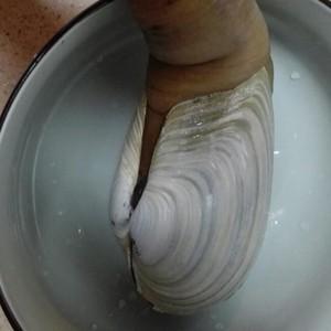 象拔蚌有什么功效，象拔蚌吃了有什么功效（原来能做刺身的“大象鼻子”叫做象拔蚌）