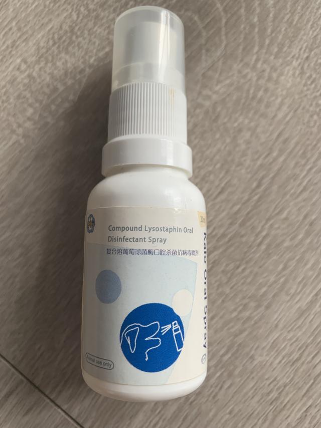 猫鼻支怎么治，猫鼻支怎么用药（猫鼻支，被我在家治好的）