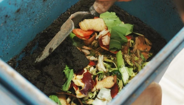 洗米水怎么处理才达标排放，洗米水能杀菌吗（就先将淘米水、菜叶子制作成肥料吧）