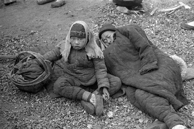 河南蝗灾发生在哪一年，河南蝗灾死了多少人（大饥荒中的汤恩伯到底有多狠）