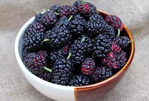 干桑葚怎么吃(桑葚——你还没听说过的“干”吃法) 干桑葚怎么吃(桑葚——你还没听说过的“干”吃法)