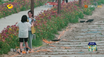 向往的生活开局推到张子枫，张子枫是谁推荐到向往的生活（《向往的生活4》张子枫被疑社恐）