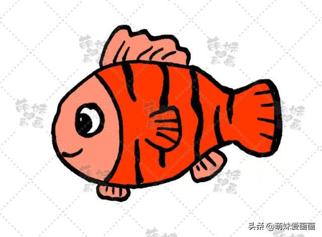 海洋生物简笔画，海洋生物简笔画图片（学画可爱的海洋生物简笔画）