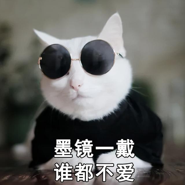 人食级别宠粮是智商税吗？有这2个认证的猫罐头，就可以闭眼入了