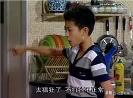 tatan为什么走红，tatan是怎么火的（是碰到这些刁钻难缠的熊娃表情包）