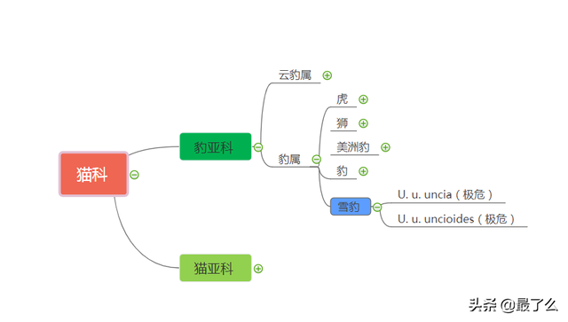 美洲豹和黑美洲狮有什么区别，一篇文章带你读懂大型猫科动物分类