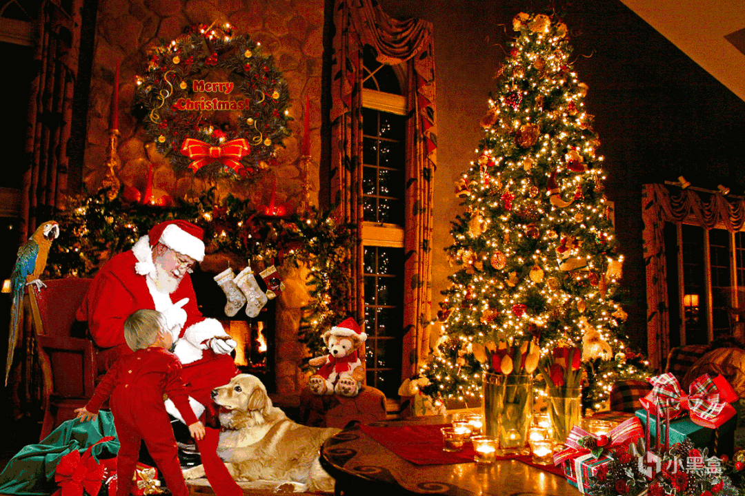 geo是哪个国家，geo是指哪个国家（GEO反恐特别行动小组）