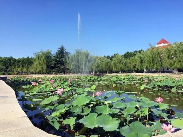 哈工大一校区图书馆几点开门，哈工大二校区图书馆开放时间（哈尔滨工业大学威海校区）