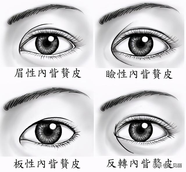 世界上有几种人种，世界上有哪些人种（不亚于“东亚病夫”）