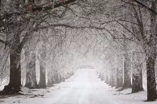 在古代可以用什么词代替雪，在古代对雪的称谓还有哪些（看看古人对雪的24种雅称）