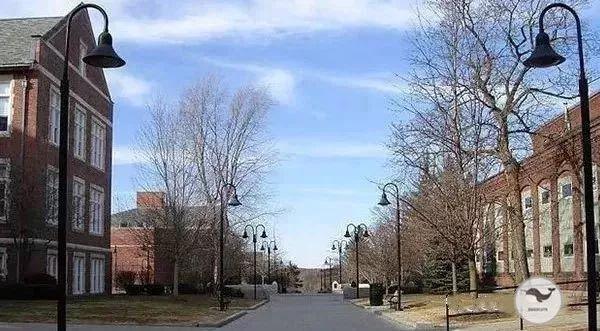 美国最安全的校园TOP10