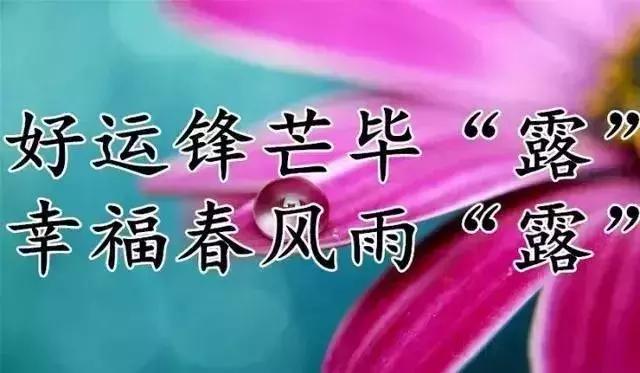 关于寒露的祝福短信，寒露祝福短语（最美的祝福送上）