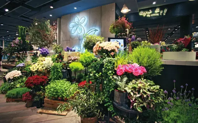 鲜花店怎么开(工艺鲜花店怎么开)