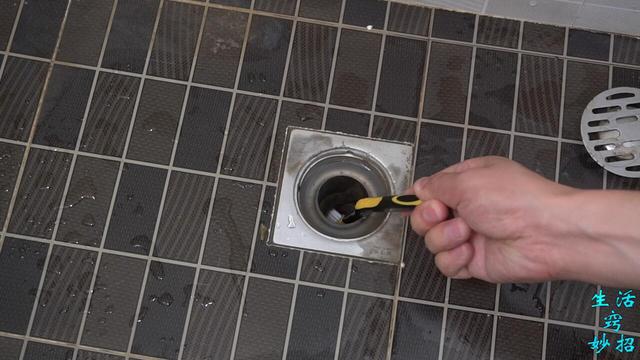 卫生间里有小飞虫是怎么回事，卫生间总有小飞虫怎么回事（原来这两样东西就能轻松解决）