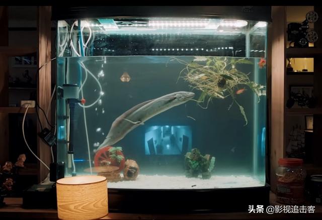 白夜追凶第一季，白夜追凶第一季的结局是什么（补剧《白夜追凶》第一季）