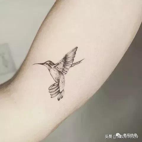 纹身各种图案及含义，纹身图案及其含义（弄懂这些图案背后的意思）