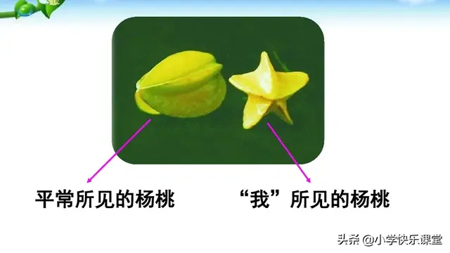 图组词及解释，图组词（小学语文部编版二年级下册第13课《画杨桃》知识点、图文解读）