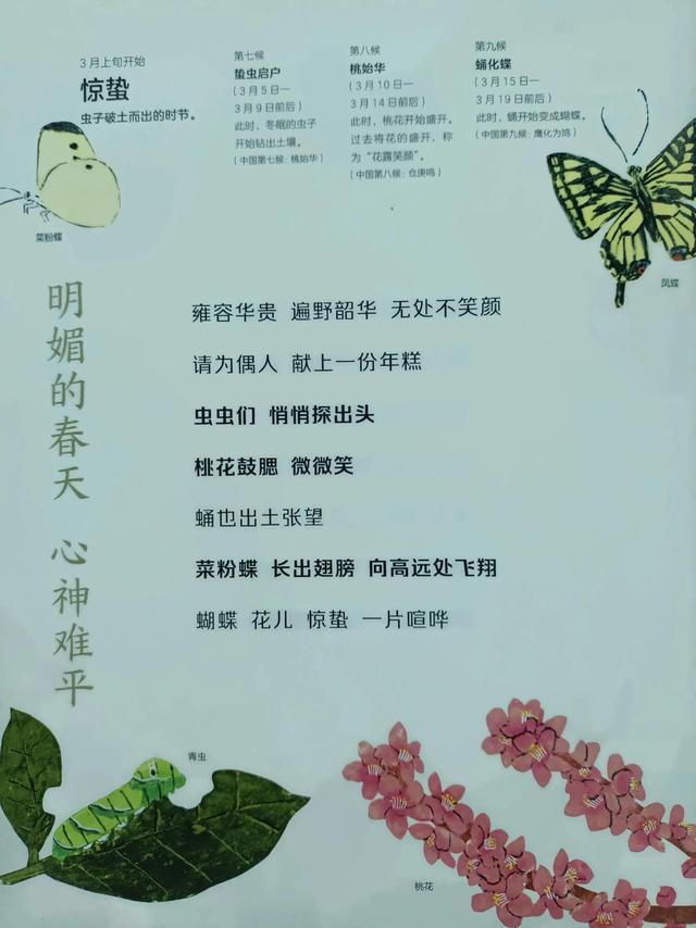 四季是按什么划分的，四季是如何划分（一年四季二十四节气）