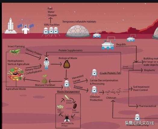 关于火星的资料，关于火星的资料50字（这种奇怪的生物材料）