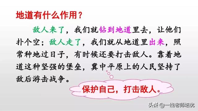 侵可以组什么词语，侵可以组啥词（部编版五年级上册第8课《冀中的地道战》重点知识点+课文讲解）