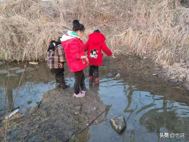 马虾怎么养，大马虾的养殖技术（你小时候也这么不怕冷吗）